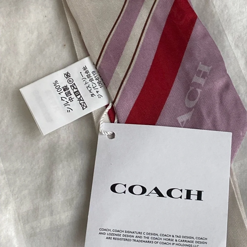 Coach Posy Hearts Skinny Scarf